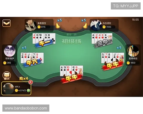 开元棋牌官网网页版新手攻略，让你快速掌握游戏技巧与玩法秘籍