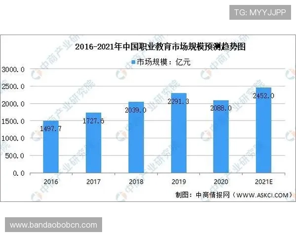 hth体育：全面解析其发展历程与未来趋势