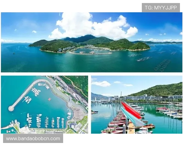 七星线上官网全面介绍与最新优惠活动推荐