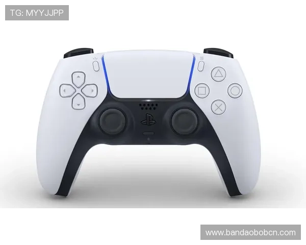 半岛官方体育登录入口安全登录保障措施及用户隐私保护策略