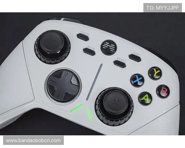 伟德亚洲手机客户端使用指南轻松掌握手机端操作技巧随时随地畅享游戏体验 伟德亚洲手机客户端使用指南轻松掌握手机端操作技巧随时随地畅享游戏体验