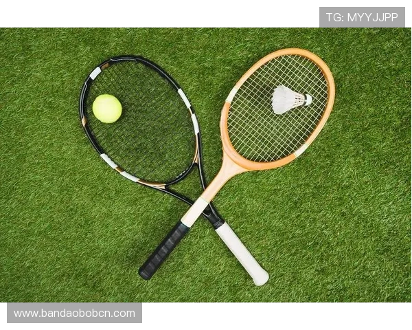 提升你的体育竞猜体验，选择U体育真人娱乐平台的五大理由与用户评价