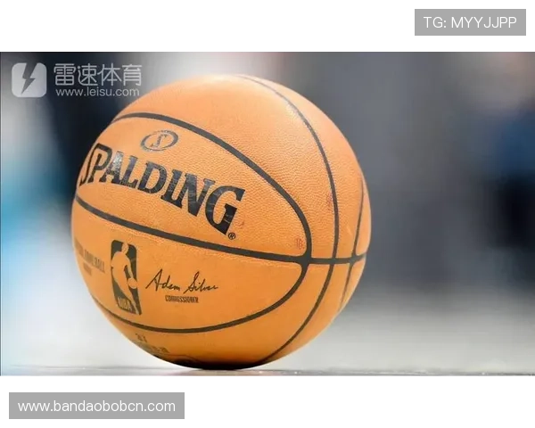 雷速体育手机版下载操作指南，帮助新手快速上手体验丰富的体育内容