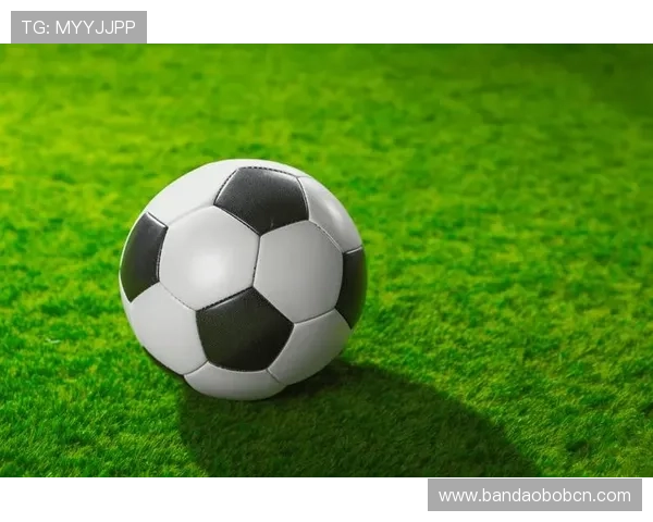 鸿博体育娱乐平台丰富的体育赛事覆盖全球热门比赛满足不同体育迷的投注需求